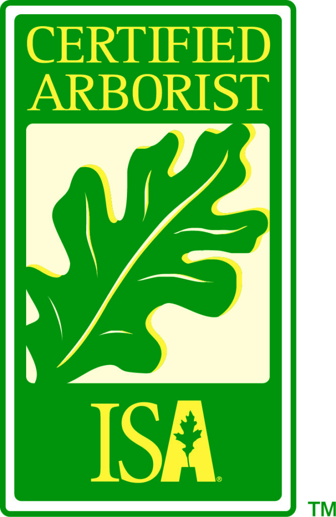 jones tree care ISA certified arborist Peter Jones